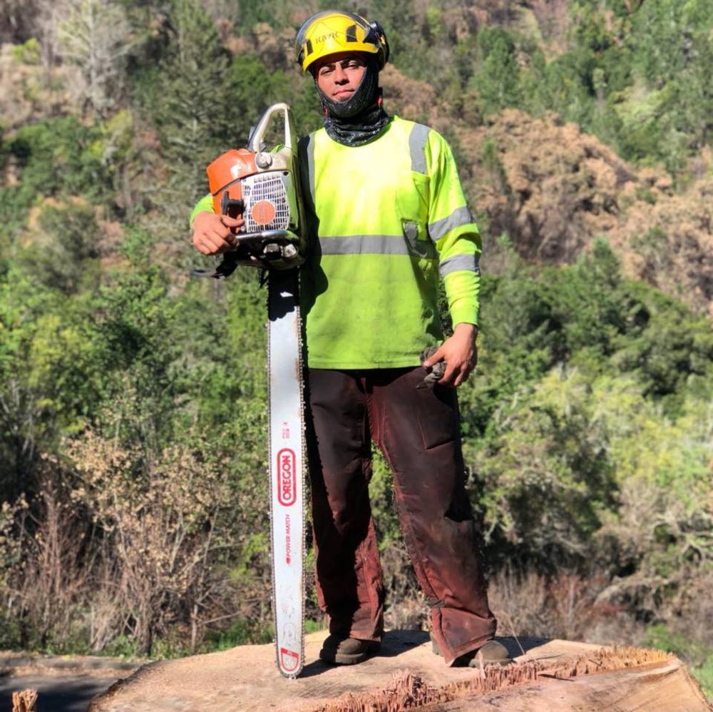 Meet your Posher, Roman